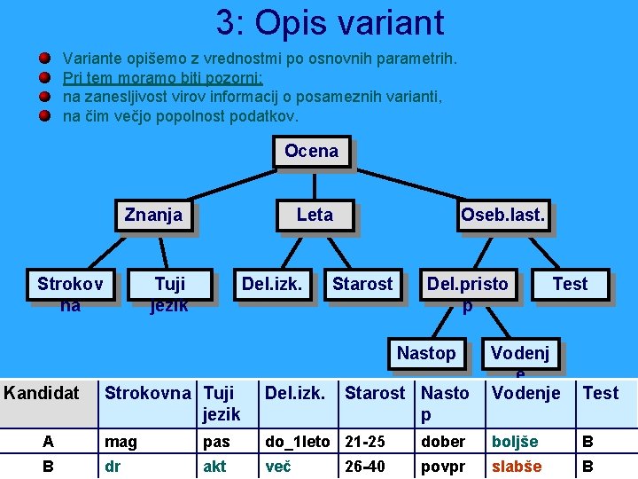 3: Opis variant Variante opišemo z vrednostmi po osnovnih parametrih. Pri tem moramo biti