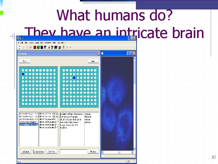 What humans do? They have an intricate brain 10 