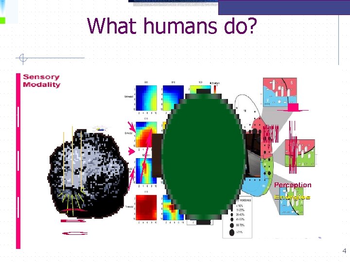 What humans do? 4 