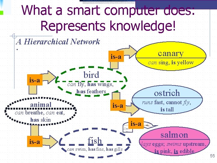 What a smart computer does: Represents knowledge! A Hierarchical Network • canary is-a bird