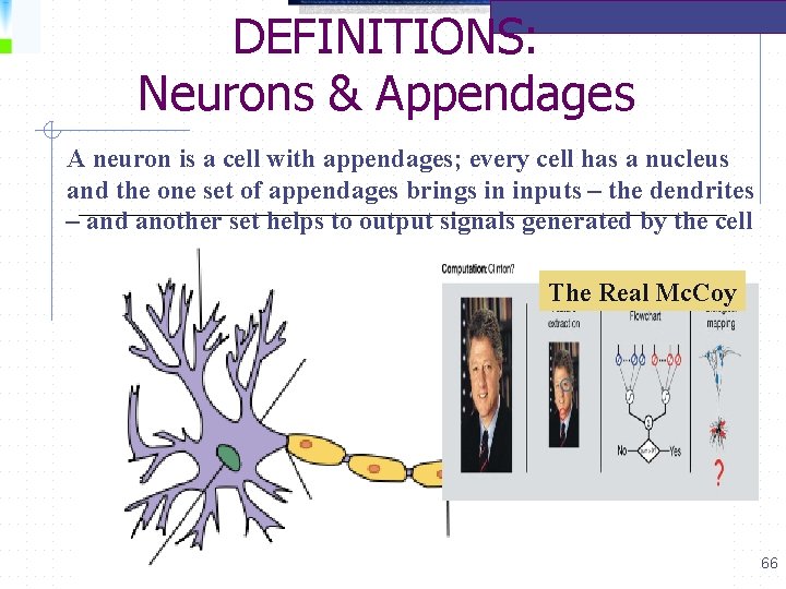 DEFINITIONS: Neurons & Appendages A neuron is a cell with appendages; every cell has