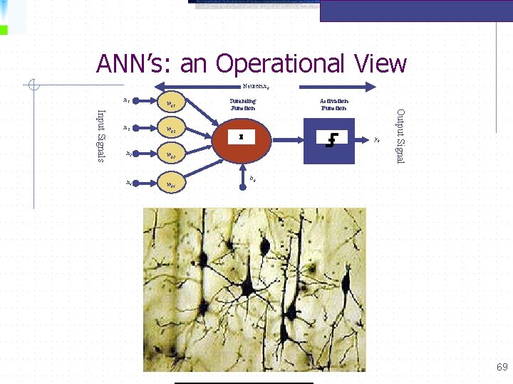  ANN’s: an Operational View Neuron xk x 1 wk 2 x 3 wk