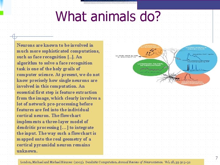 What animals do? Neurons are known to be involved in much more sophisticated computations,
