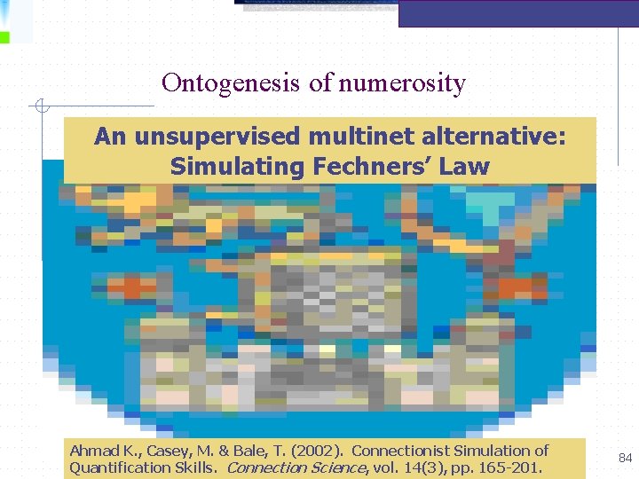 Ontogenesis of numerosity An unsupervised multinet alternative: Simulating Fechners’ Law Ahmad K. , Casey,