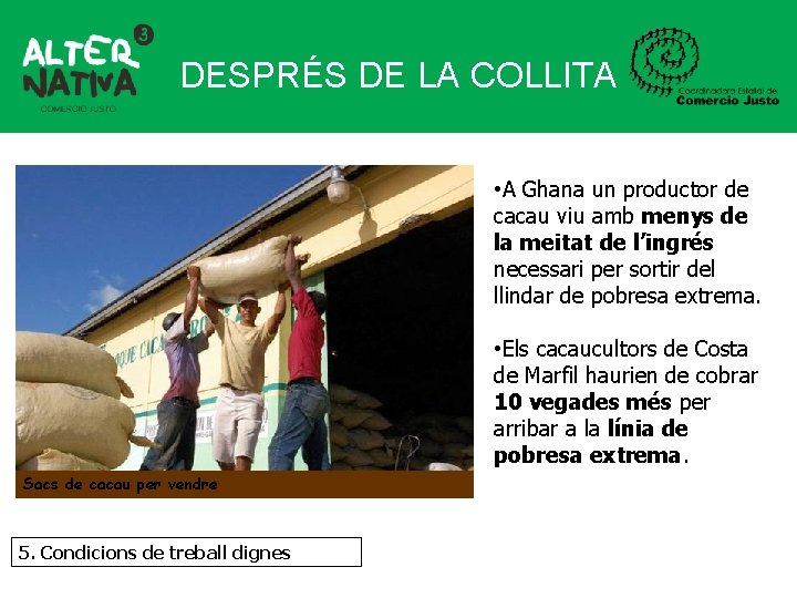 DESPRÉS DE LA COLLITA • A Ghana un productor de cacau viu amb menys