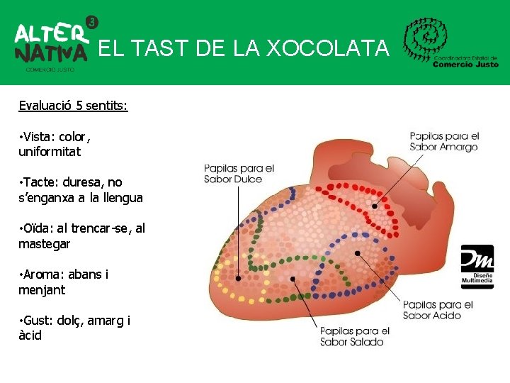 EL TAST DE LA XOCOLATA Evaluació 5 sentits: • Vista: color, uniformitat • Tacte: