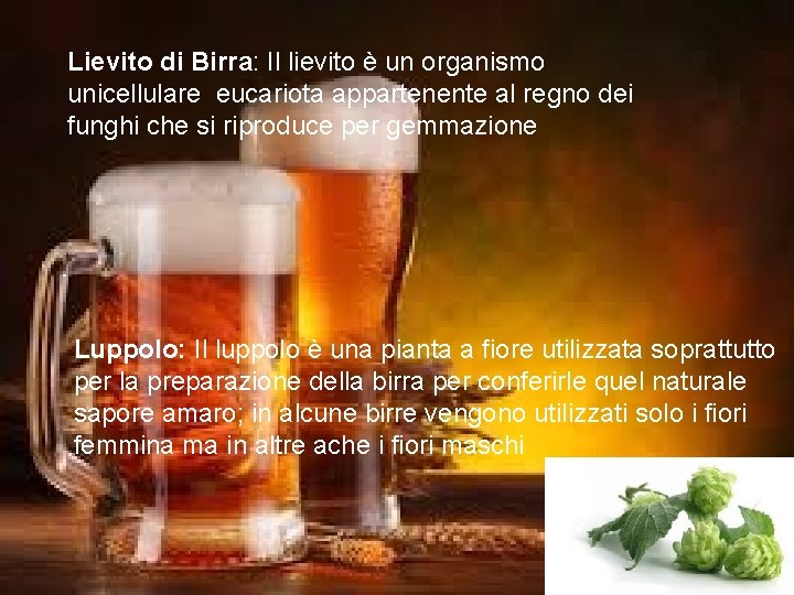 Lievito di Birra: Il lievito è un organismo unicellulare eucariota appartenente al regno dei