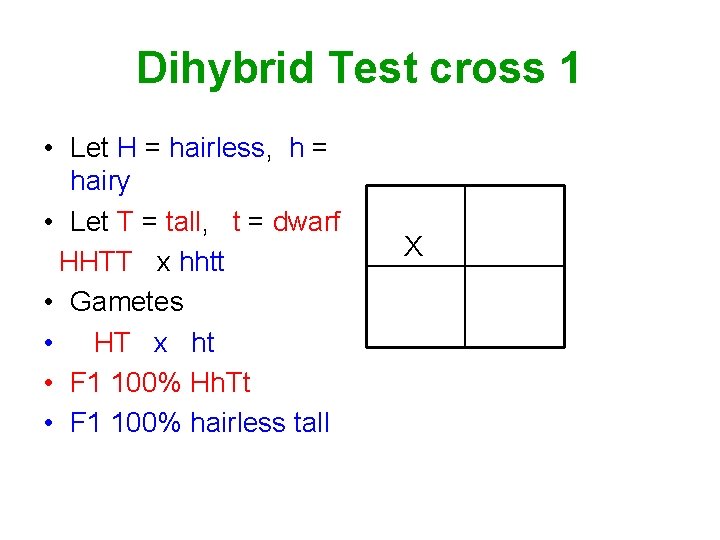 Dihybrid Test cross 1 • Let H = hairless, h = hairy • Let