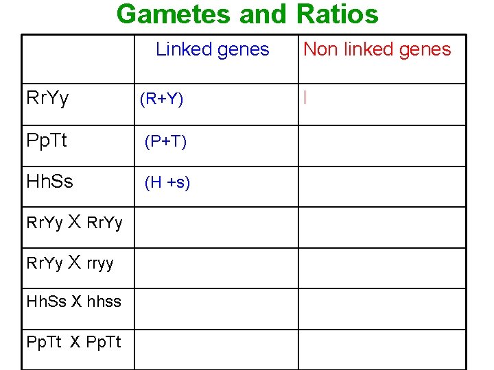Gametes and Ratios Linked genes Non linked genes Rr. Yy (R+Y) RY, ry RY,
