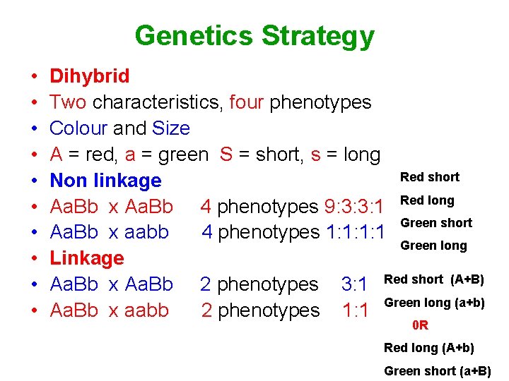 Genetics Strategy • • • Dihybrid Two characteristics, four phenotypes Colour and Size A