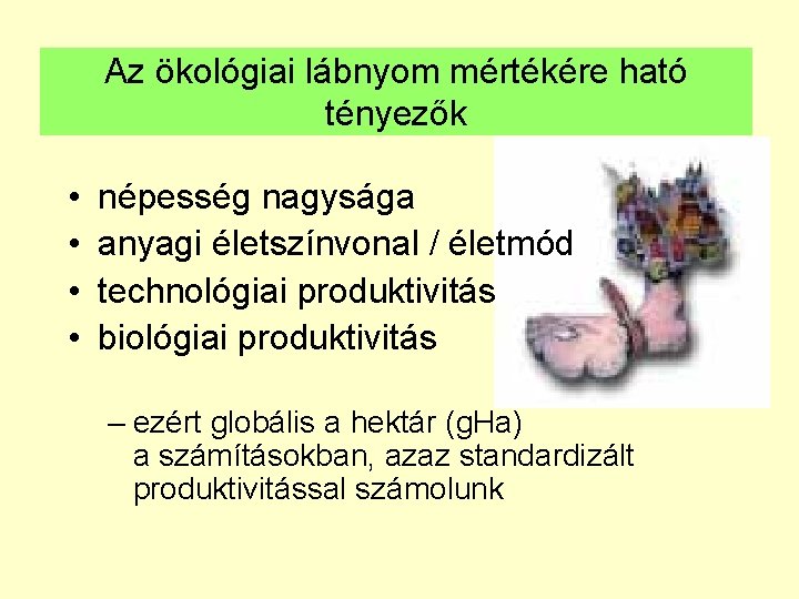 Az ökológiai lábnyom mértékére ható tényezők • • népesség nagysága anyagi életszínvonal / életmód