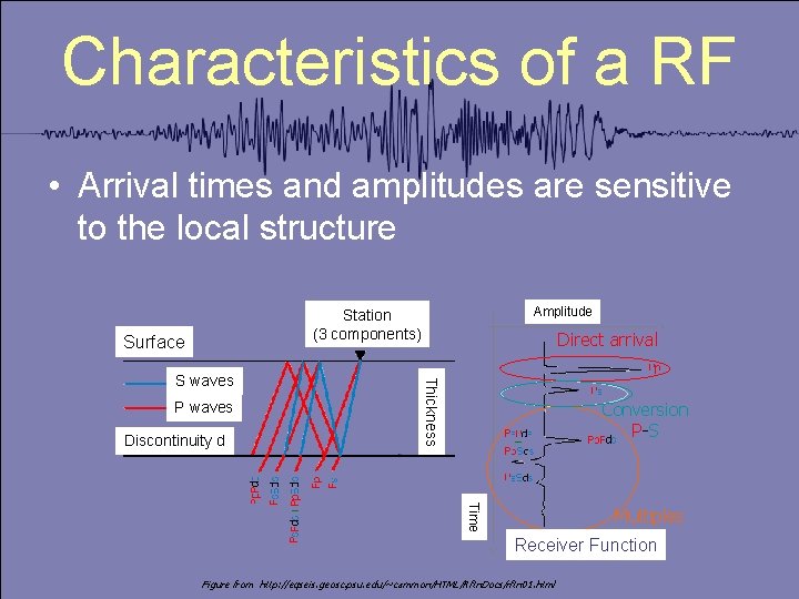 Characteristics of a RF • Arrival times and amplitudes are sensitive to the local