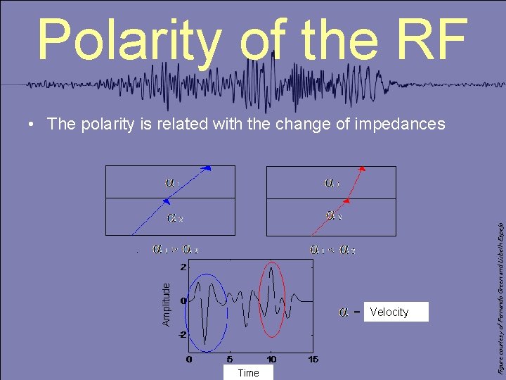 Polarity of the RF Velocity Time Figure courtesy of Fernando Green and Lizbeth Espejo