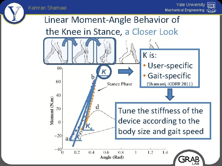 Yale University Kamran Shamaei Mechanical Engineering Linear Moment-Angle Behavior of the Knee in Stance,