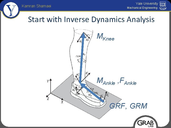 Yale University Kamran Shamaei Mechanical Engineering Start with Inverse Dynamics Analysis MKnee MAnkle ,