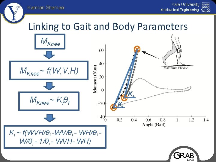 Yale University Kamran Shamaei Mechanical Engineering Linking to Gait and Body Parameters MKnee~ f(W,