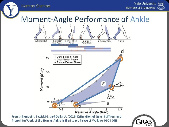 Kamran Shamaei Yale University Mechanical Engineering Moment-Angle Performance of Ankle From: Shamaei K, Sawicki