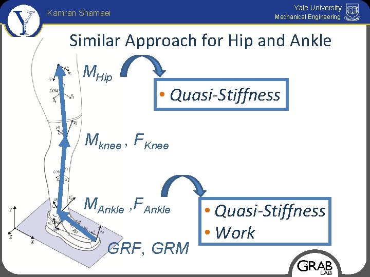 Yale University Kamran Shamaei Mechanical Engineering Similar Approach for Hip and Ankle MHip •