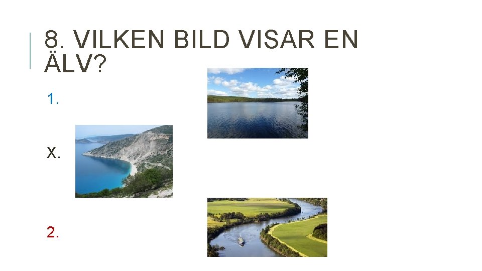 8. VILKEN BILD VISAR EN ÄLV? 1. X. 2. 