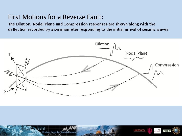 First Motions for a Reverse Fault: The Dilation, Nodal Plane and Compression responses are