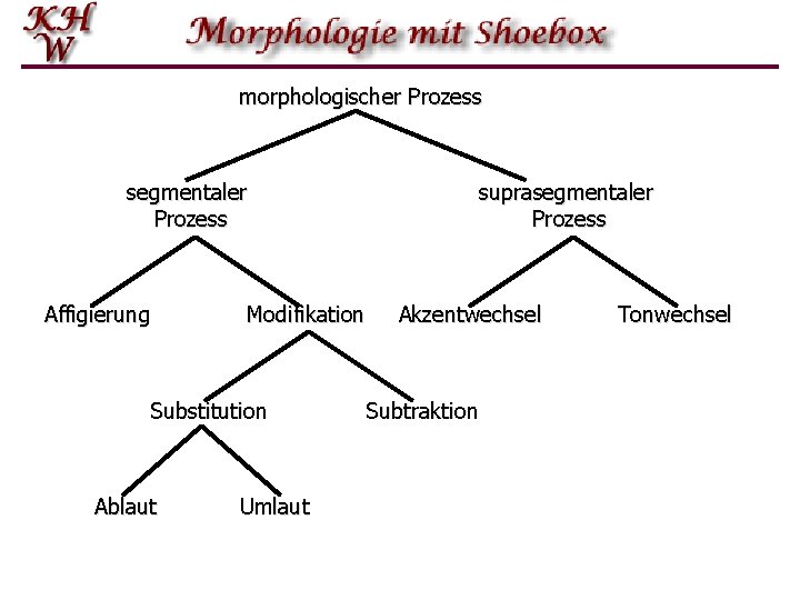 morphologischer Prozess segmentaler Prozess Affigierung Modifikation Substitution Ablaut Umlaut suprasegmentaler Prozess Akzentwechsel Subtraktion Tonwechsel