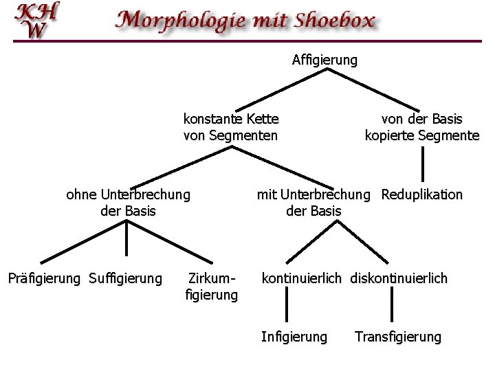 Affigierung konstante Kette von Segmenten ohne Unterbrechung der Basis Präfigierung Suffigierung Zirkumfigierung von der