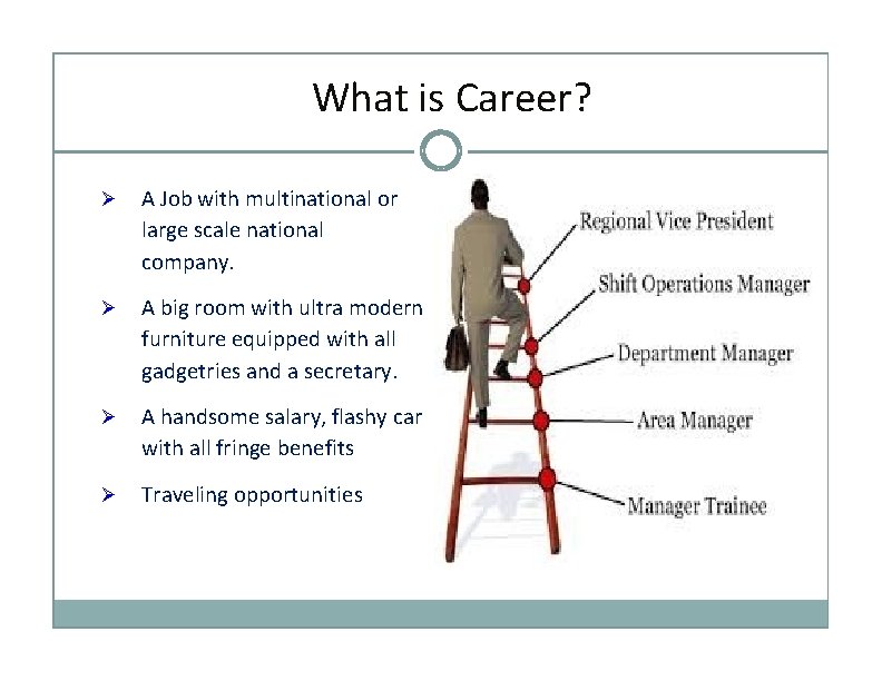 What is Career? A Job with multinational or large scale national company. A big