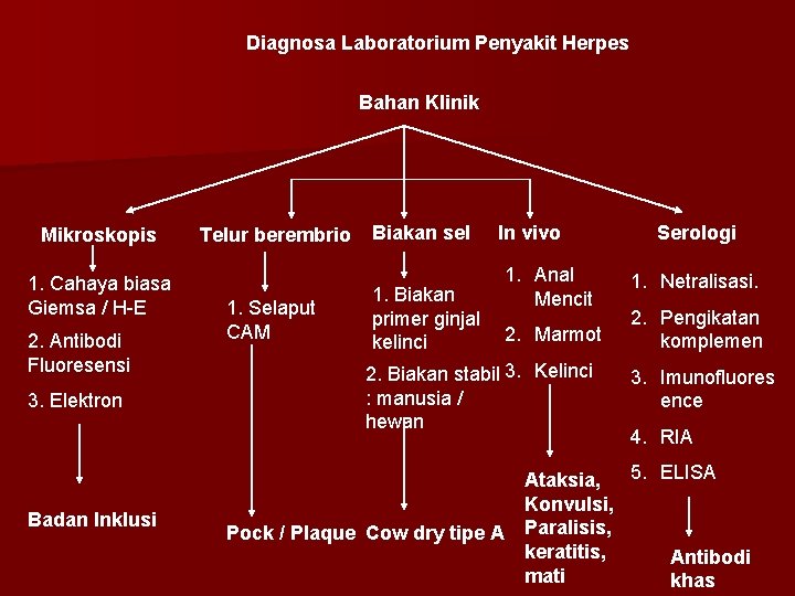 Diagnosa Laboratorium Penyakit Herpes Bahan Klinik Mikroskopis 1. Cahaya biasa Giemsa / H-E 2.