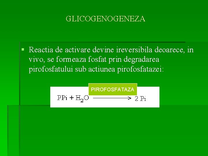 GLICOGENEZA § Reactia de activare devine ireversibila deoarece, in vivo, se formeaza fosfat prin