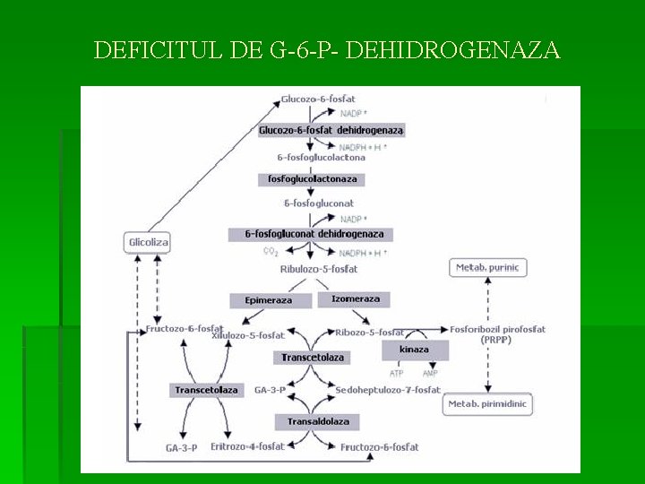 DEFICITUL DE G-6 -P- DEHIDROGENAZA 