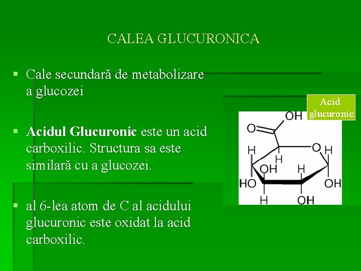 CALEA GLUCURONICA § Cale secundară de metabolizare a glucozei § Acidul Glucuronic este un