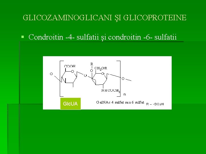 GLICOZAMINOGLICANI ŞI GLICOPROTEINE § Condroitin -4 - sulfatii şi condroitin -6 - sulfatii Glc.