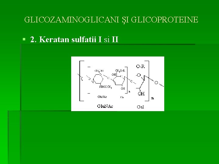 GLICOZAMINOGLICANI ŞI GLICOPROTEINE § 2. Keratan sulfatii I si II 