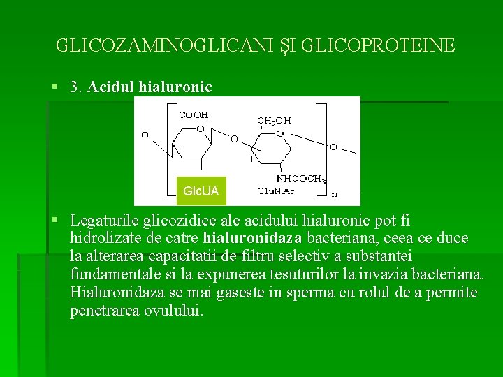 GLICOZAMINOGLICANI ŞI GLICOPROTEINE § 3. Acidul hialuronic Glc. UA § Legaturile glicozidice ale acidului