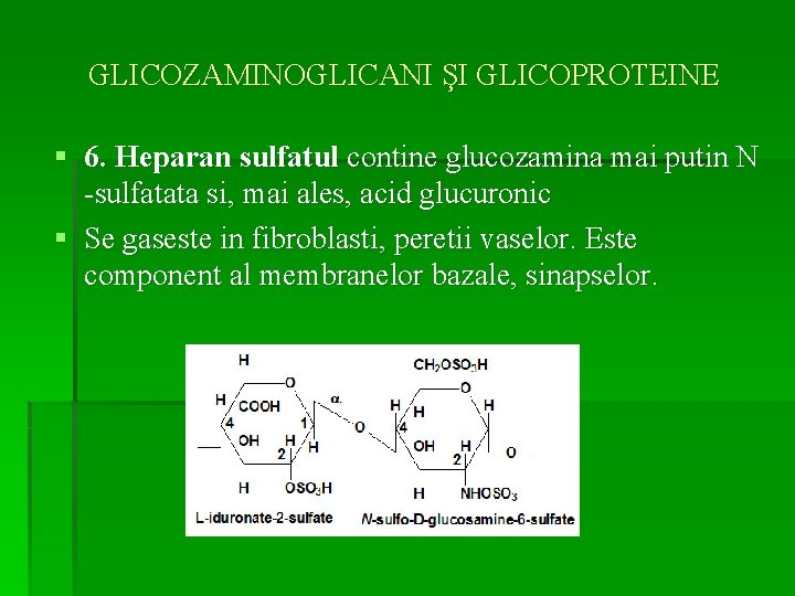 GLICOZAMINOGLICANI ŞI GLICOPROTEINE § 6. Heparan sulfatul contine glucozamina mai putin N -sulfatata si,