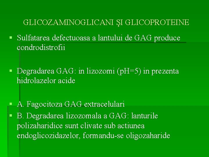 GLICOZAMINOGLICANI ŞI GLICOPROTEINE § Sulfatarea defectuoasa a lantului de GAG produce condrodistrofii § Degradarea