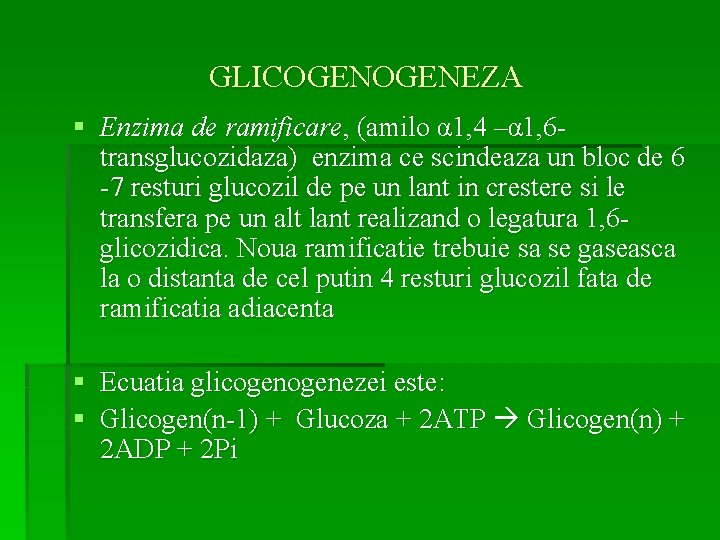 GLICOGENEZA § Enzima de ramificare, (amilo α 1, 4 –α 1, 6 transglucozidaza) enzima