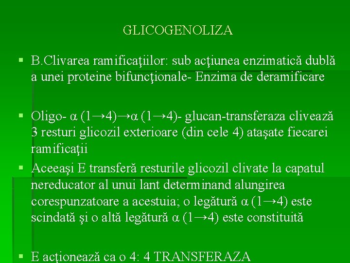 GLICOGENOLIZA § B. Clivarea ramificaţiilor: sub acţiunea enzimatică dublă a unei proteine bifuncţionale- Enzima