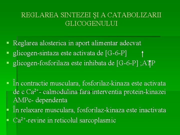 REGLAREA SINTEZEI ŞI A CATABOLIZARII GLICOGENULUI § Reglarea alosterica in aport alimentar adecvat §