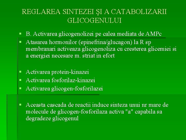 REGLAREA SINTEZEI ŞI A CATABOLIZARII GLICOGENULUI § B. Activarea glicogenolizei pe calea mediata de