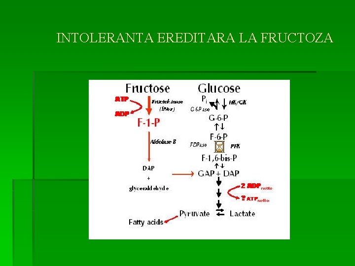 INTOLERANTA EREDITARA LA FRUCTOZA 