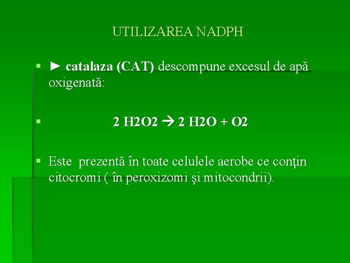 UTILIZAREA NADPH § ► catalaza (CAT) descompune excesul de apă oxigenată: § 2 H