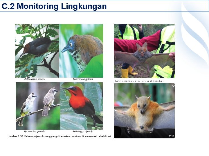 C. 2 Monitoring Lingkungan 