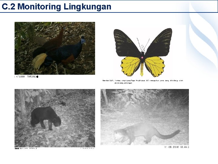 C. 2 Monitoring Lingkungan 