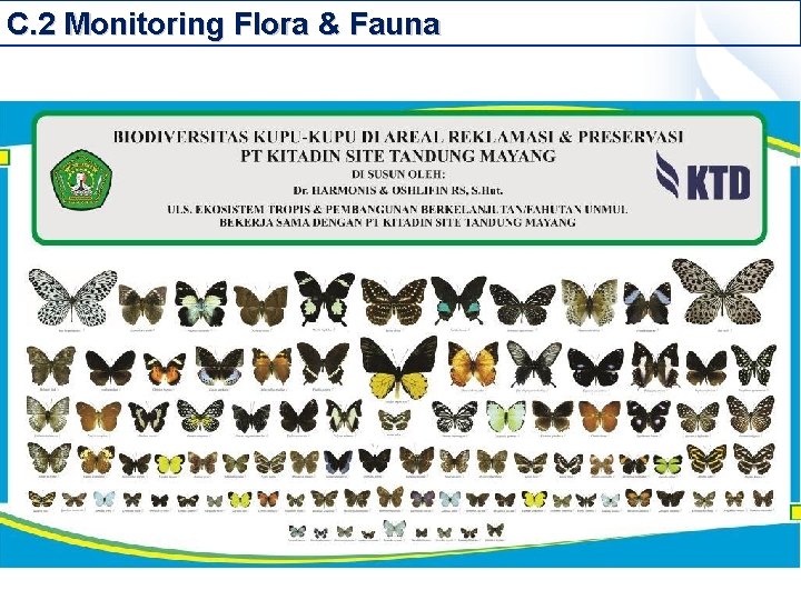 C. 2 Monitoring Flora & Fauna 