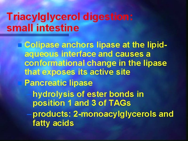 Triacylglycerol digestion: small intestine Colipase anchors lipase at the lipidaqueous interface and causes a