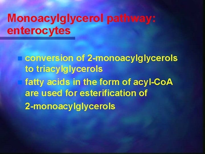 Monoacylglycerol pathway: enterocytes conversion of 2 -monoacylglycerols to triacylglycerols n fatty acids in the