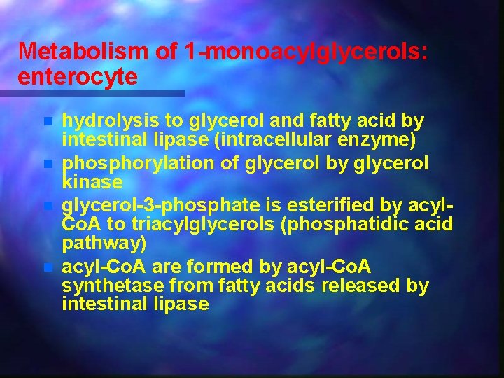 Metabolism of 1 -monoacylglycerols: enterocyte n n hydrolysis to glycerol and fatty acid by