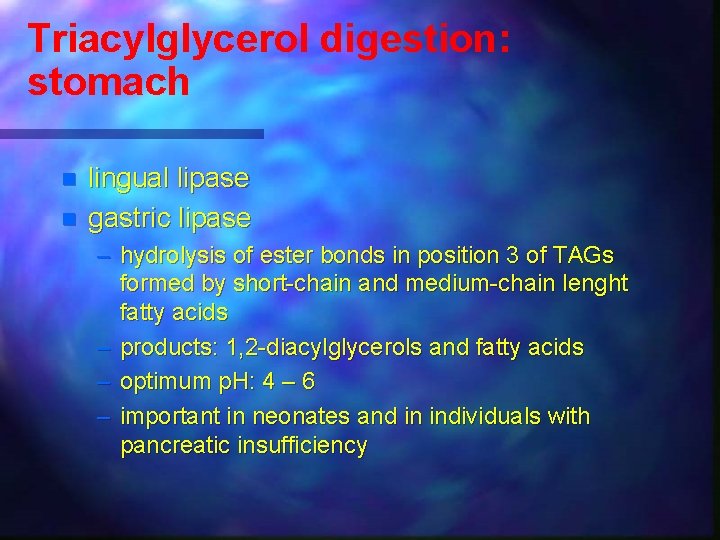 Triacylglycerol digestion: stomach n n lingual lipase gastric lipase – hydrolysis of ester bonds