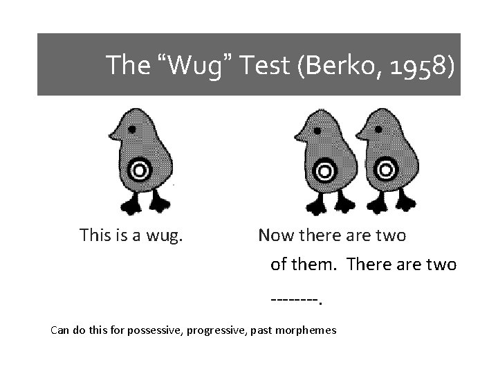 The “Wug” Test (Berko, 1958) This is a wug. Now there are two of